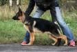 Enigma 5 months