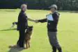BH SCHUTZHUND