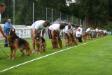 Saabat's Progeny in Austria SZS 2013
