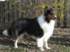 Robbie in the spring