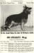 1953 GV CH (US) Alert of Mi-Noah's (In 1959)