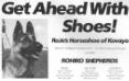 Roje's Horseshoe Of Kovaya (1980s advertisement) Head Picture