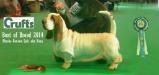 Akasha Banana Split winning BOB at Crufts 2014