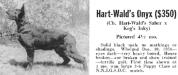 Hart-Wald's Onyx (1960s for sale advertisement) At 4.5 months old