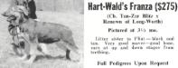 Hart-Wald's Franza (3.5 months old)