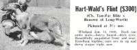 Hart-Wald's Flint (at 3.5 months old)