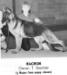 Hoheneichen's Magnum (Handler: Mike Sherman) as a puppy