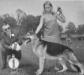 Rigo's Andrew of Cosalta (Dog Show Win Photo) 24-8-1968