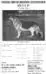 Pascha vom Gelnhäuser Schlößchen (1960s Hafenrich Kennels Advertisement)