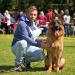 Groovy & Handler Pasquale Parascandolo at  Bellheim 2014