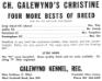 Galewynd's Christine