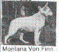 Montana von Finn