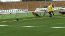 GIADA DELLA REAL FAVORITA 1° MB Juniores F. Giudice Sig. Renaud Marc