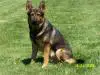 TJ on 8-8-2008 #5