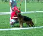 Serbia Gsd Show SG1