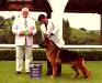 Copa Mundo Perro 2008 (Campeon Mexicano)