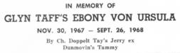 Glyn Taff's Ebony von Ursula (Memorial)