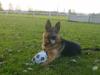 Uran with his ball