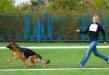 Waronjo vom Team Fiemereck