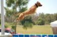 Splash Dogs - Cape Coral, FL - April 2014