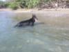 Having Fun At The Beach