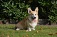 Benson 7 Month