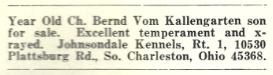 Bernd Vom Kallengarten (1968 Classified ad for Bernd Son)