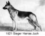  Harras von der Jüch