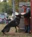 Lucky von ryanhaus