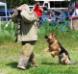 Rambo's offspring
