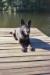 King on the dock at 3 years old