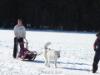 Sledding