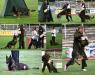 Bandit Bundes-FCI 2007