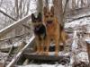 Wintery Hike!