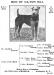 Reo of Caton Hill (Historical ad & Pedigree)