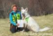 B-approved Norway Search and Rescuedogs, june 2015