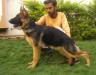 swapnil's cally @ 5.5 months