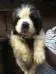 mufasa@4wks