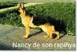 Nancy1