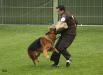 BSZS-2008 in Aachen