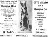 Fels vom Gesundbrunnen (Historical Kennel Stud Ad)