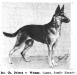 Debora von Weimar [Joselle's] (Image from: Duetsch-Amerika)