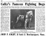 Colby&#x27;s Pincher (John P. Colby Kennel Ad from The Doig Fancier)