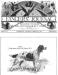 Jennie (First Eastern Field Trial Winner 1879) on te Cover of the Novenber 1890 Fancier's Journal