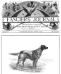 Rowdy Rod (Mr. George W. Ewing's Fort Wayne Ind.) on the Cove of the March 1891 Fanciers Journal