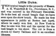 Little Duke (001994) September 1885 AKR Write up