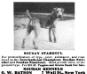 Soudan Stamboul&#x27;s 1912 Kennel ad from Bit &amp; Spur v11