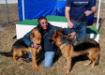 VP-2 Hundesport Club of Florida SV Rüdiger Mai
