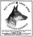 Lotte&#x27;s head portrait and 1917 Lewanno Kennel ad