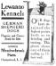 a 1916 Lewanno Kennel ad from Vanity Fair